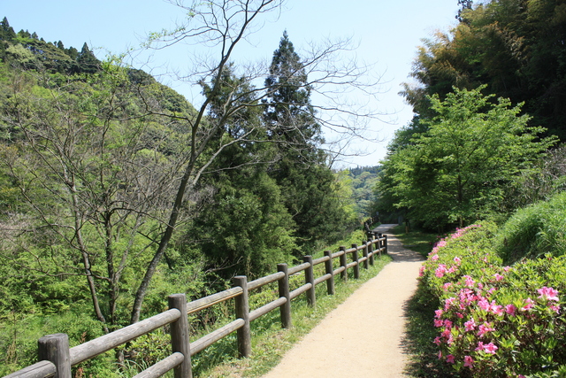 石見銀山遺跡４９の写真の写真