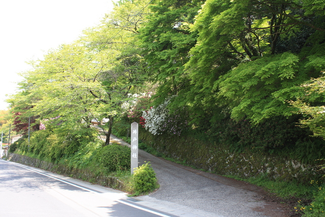 石見銀山遺跡・井戸神社の写真の写真