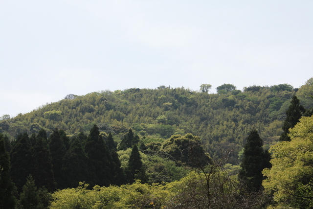 石見銀山１６の写真の写真