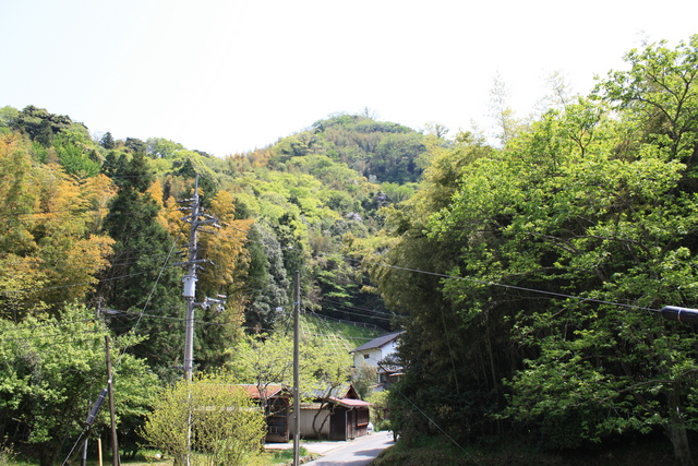 石見銀山１７の写真の写真