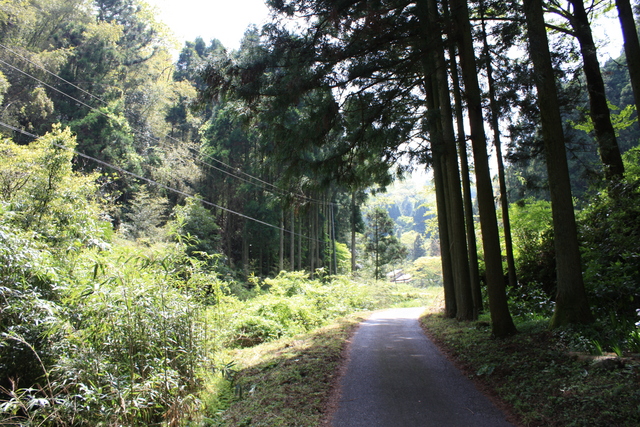 石見銀山１９の写真の写真