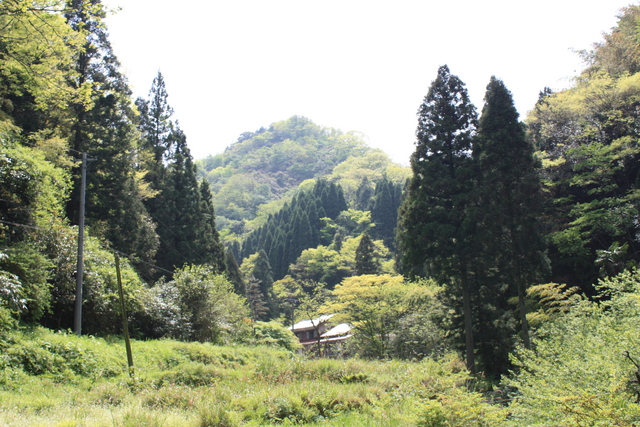 石見銀山２０の写真の写真