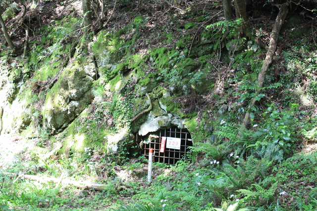 石見銀山・間歩１の写真の写真