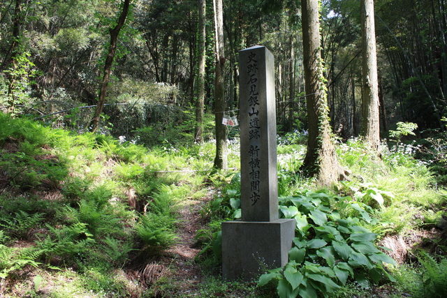 石見銀山・新横相間歩の写真の写真