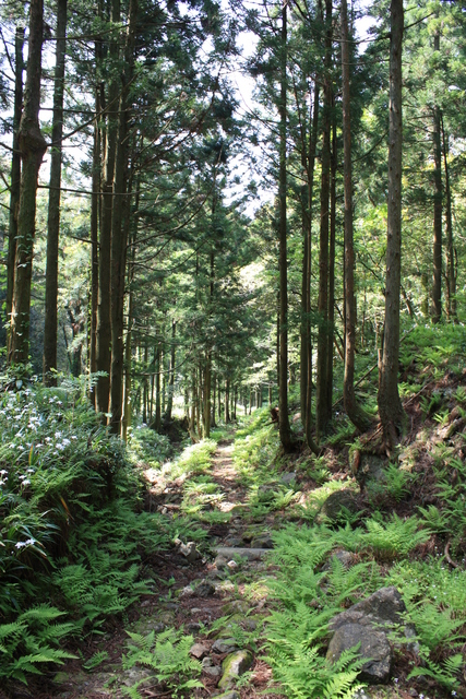 石見銀山２８の写真の写真
