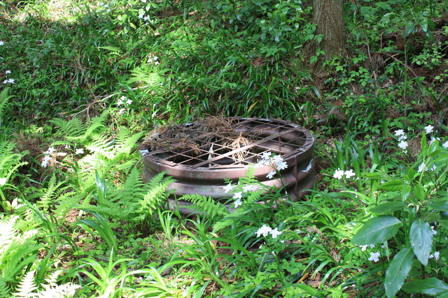 石見銀山３１の写真の写真