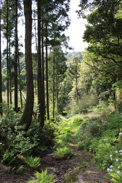 石見銀山遺跡・出土谷２の写真の写真