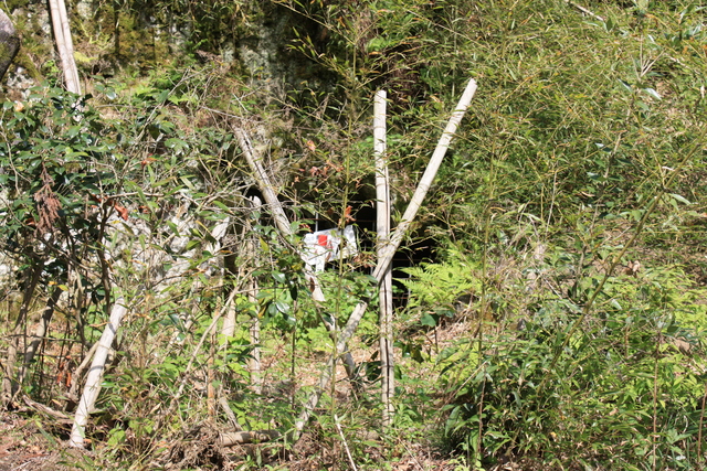 石見銀山遺跡・間歩５の写真の写真