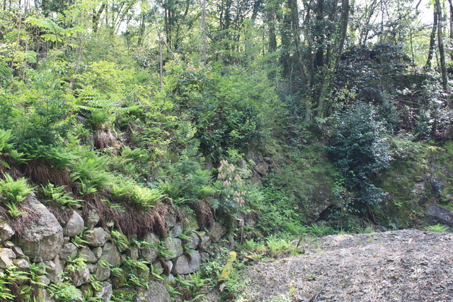 石見銀山３２の写真の写真