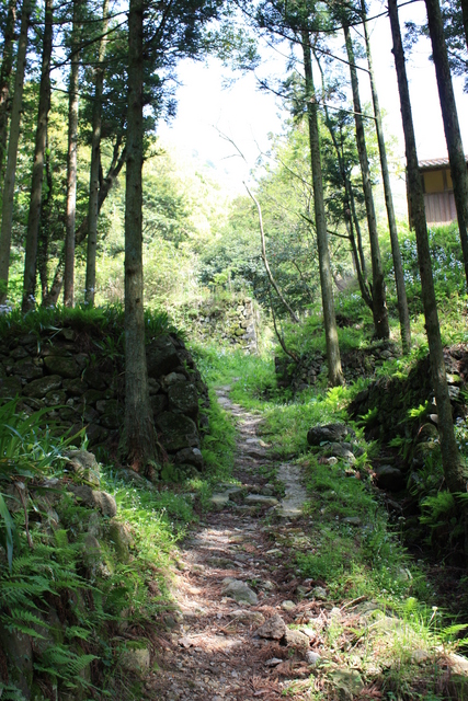 石見銀山３５の写真の写真