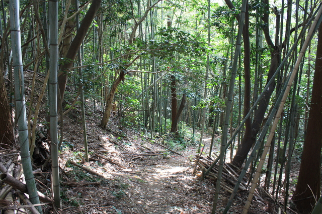 石見銀山３７の写真の写真