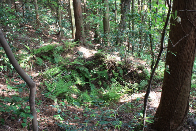 石見銀山３９の写真の写真