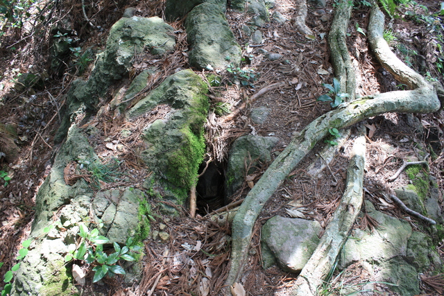 石見銀山４０の写真の写真