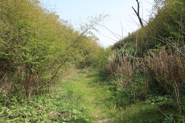 石見銀山４３の写真の写真