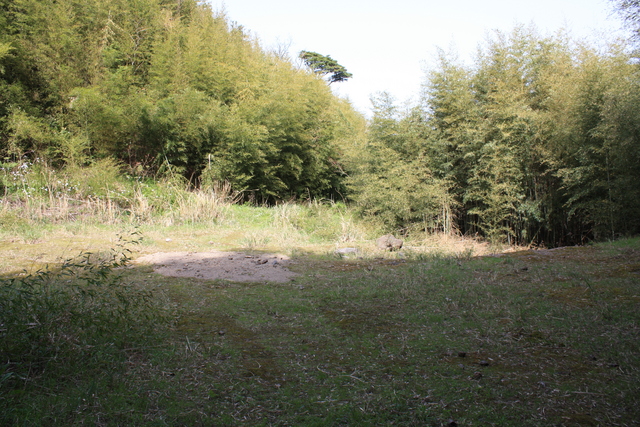 石見銀山遺跡・石銀千畳敷１の写真の写真