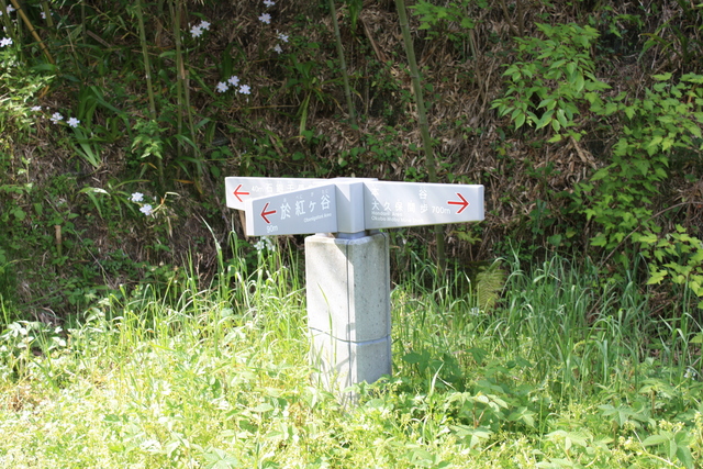 石見銀山・山道の道標の写真の写真