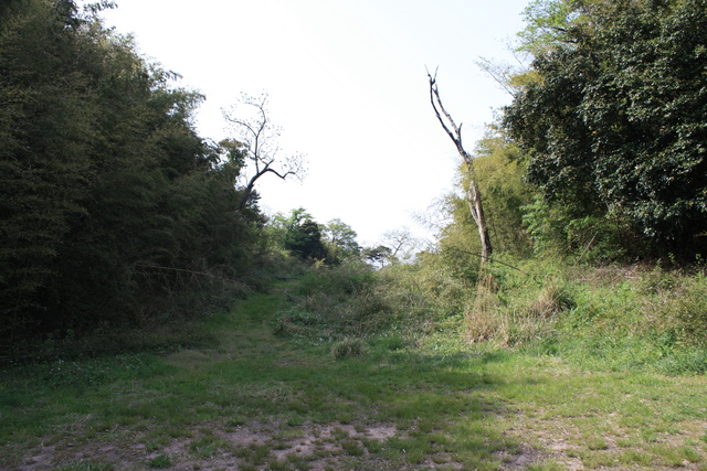 石見銀山４７の写真の写真