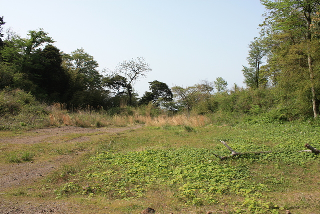 石見銀山遺跡・石銀地区２の写真の写真