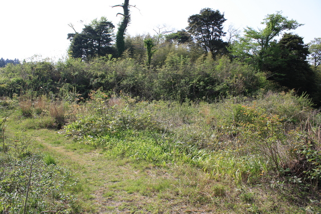 石見銀山５０の写真の写真