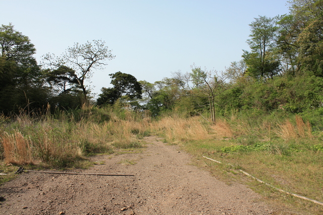 石見銀山５１の写真の写真