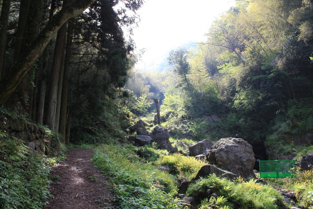 石見銀山６１の写真の写真