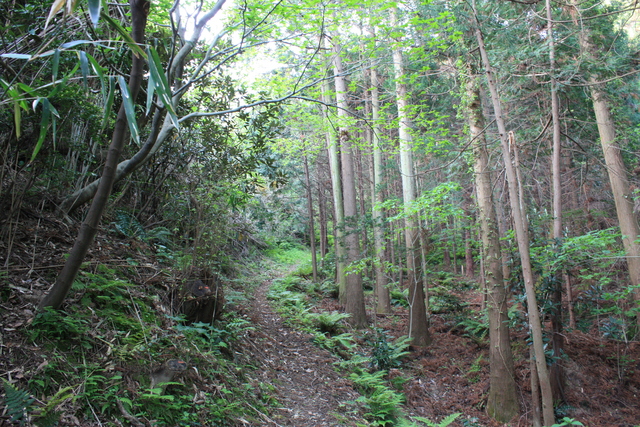世界遺産・石見銀山遺跡・鞆ヶ浦道４の写真の写真