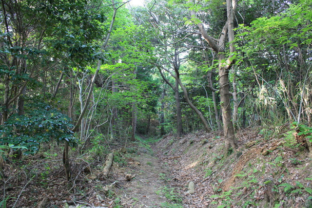 世界遺産・石見銀山遺跡・鞆ヶ浦道６の写真の写真