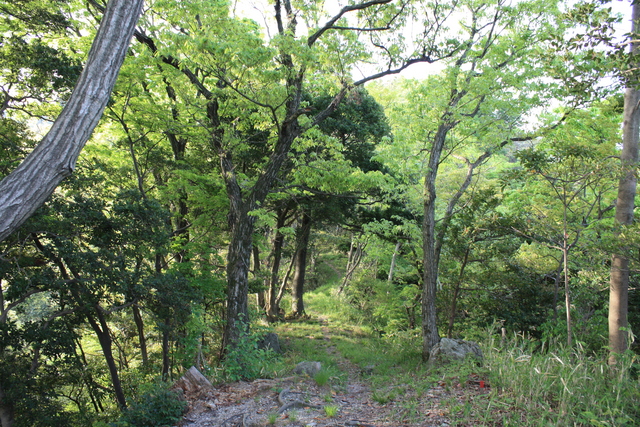 世界遺産・石見銀山遺跡・鞆ヶ浦道９の写真の写真