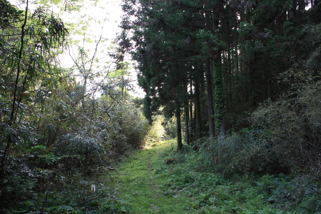 世界遺産・石見銀山遺跡・鞆ヶ浦道１２の写真の写真