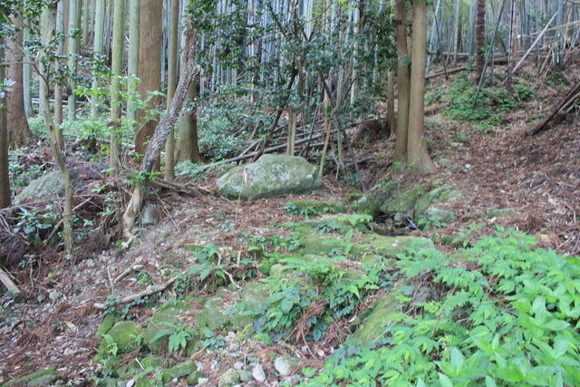 世界遺産・石見銀山遺跡・鞆ヶ浦道２５の写真の写真
