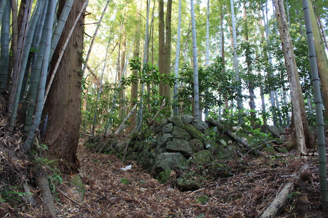 世界遺産・石見銀山遺跡・鞆ヶ浦道２６の写真の写真
