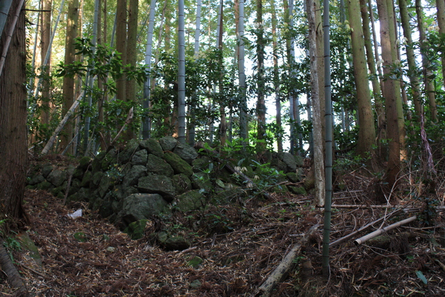 世界遺産・石見銀山遺跡・鞆ヶ浦道２８の写真の写真