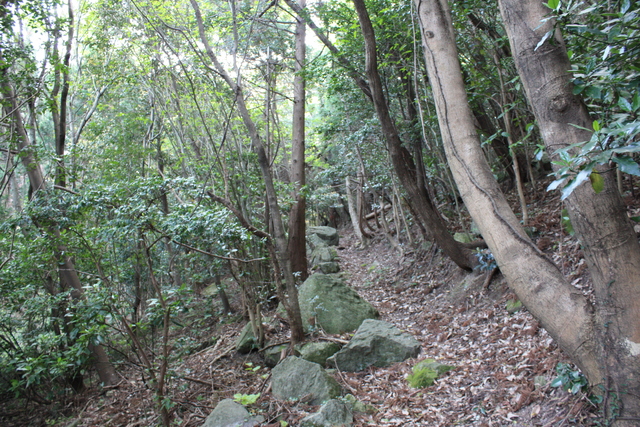 世界遺産・石見銀山遺跡・鞆ヶ浦道３３の写真の写真