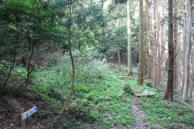 世界遺産・石見銀山遺跡・鞆ヶ浦道３４の写真の写真
