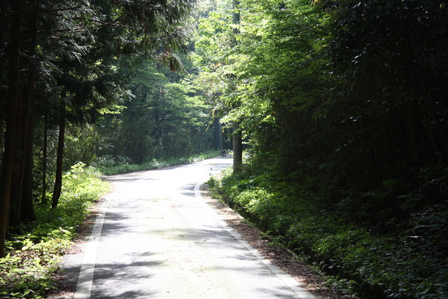 世界遺産・石見銀山遺跡・鞆ヶ浦道４０の写真の写真