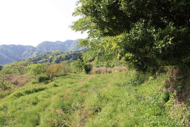 世界遺産・石見銀山遺跡・鞆ヶ浦道４７の写真の写真