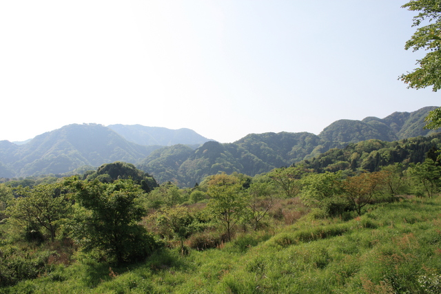 世界遺産・石見銀山遺跡・鞆ヶ浦道４８の写真の写真