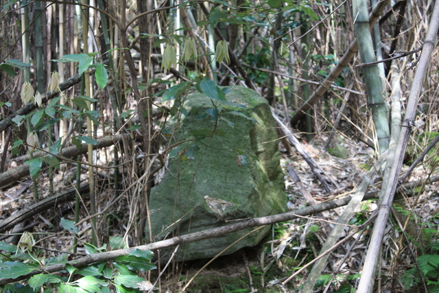 世界遺産・石見銀山遺跡・鞆ヶ浦道５２の写真の写真