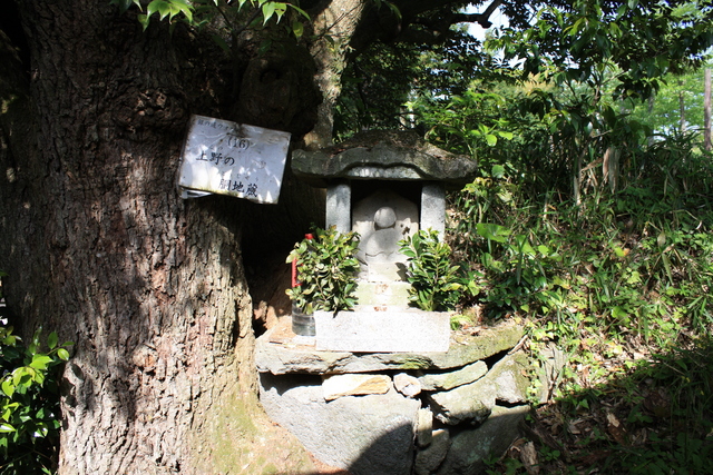 世界遺産・石見銀山遺跡・鞆ヶ浦道５６の写真の写真