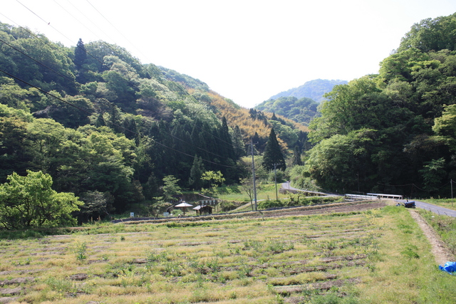 世界遺産・石見銀山遺跡・鞆ヶ浦道６６の写真の写真