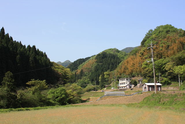 世界遺産・石見銀山遺跡・鞆ヶ浦道６７の写真の写真