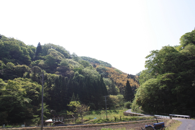 世界遺産・石見銀山遺跡・鞆ヶ浦道６８の写真の写真