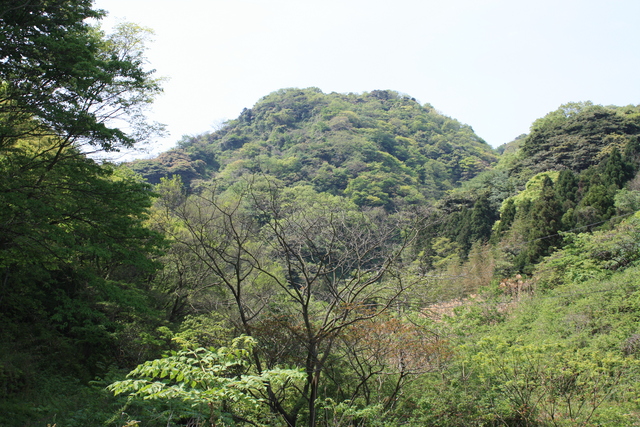 世界遺産・石見銀山遺跡・鞆ヶ浦道７８の写真の写真