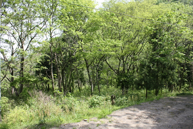 世界遺産・石見銀山遺跡・鞆ヶ浦道８１の写真の写真