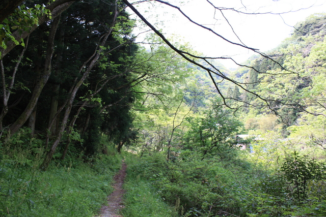 世界遺産・石見銀山遺跡・鞆ヶ浦道９２の写真の写真