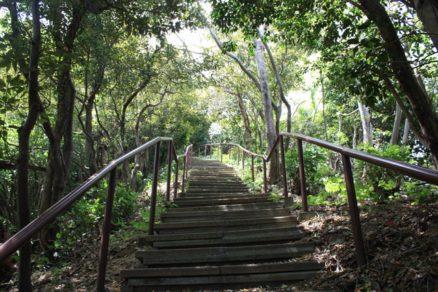 世界遺産・石見銀山遺跡・鞆ヶ浦道１１０の写真の写真
