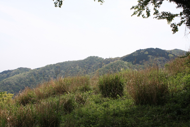世界遺産・石見銀山遺跡・鞆ヶ浦道１１６の写真の写真