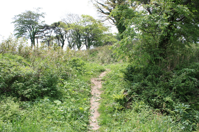 世界遺産・石見銀山遺跡・鞆ヶ浦道１２１の写真の写真
