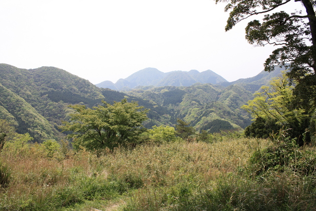 世界遺産・石見銀山遺跡・鞆ヶ浦道１４２の写真の写真