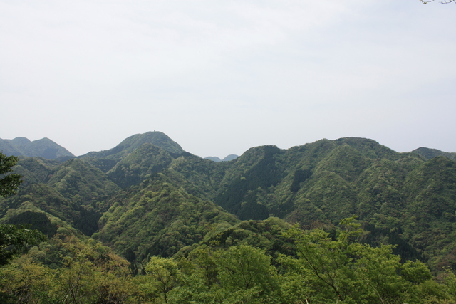 世界遺産・石見銀山遺跡・鞆ヶ浦道１５０の写真の写真